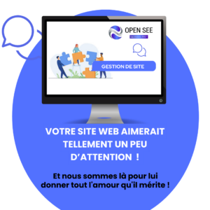 Gestion-de-site-Open-see